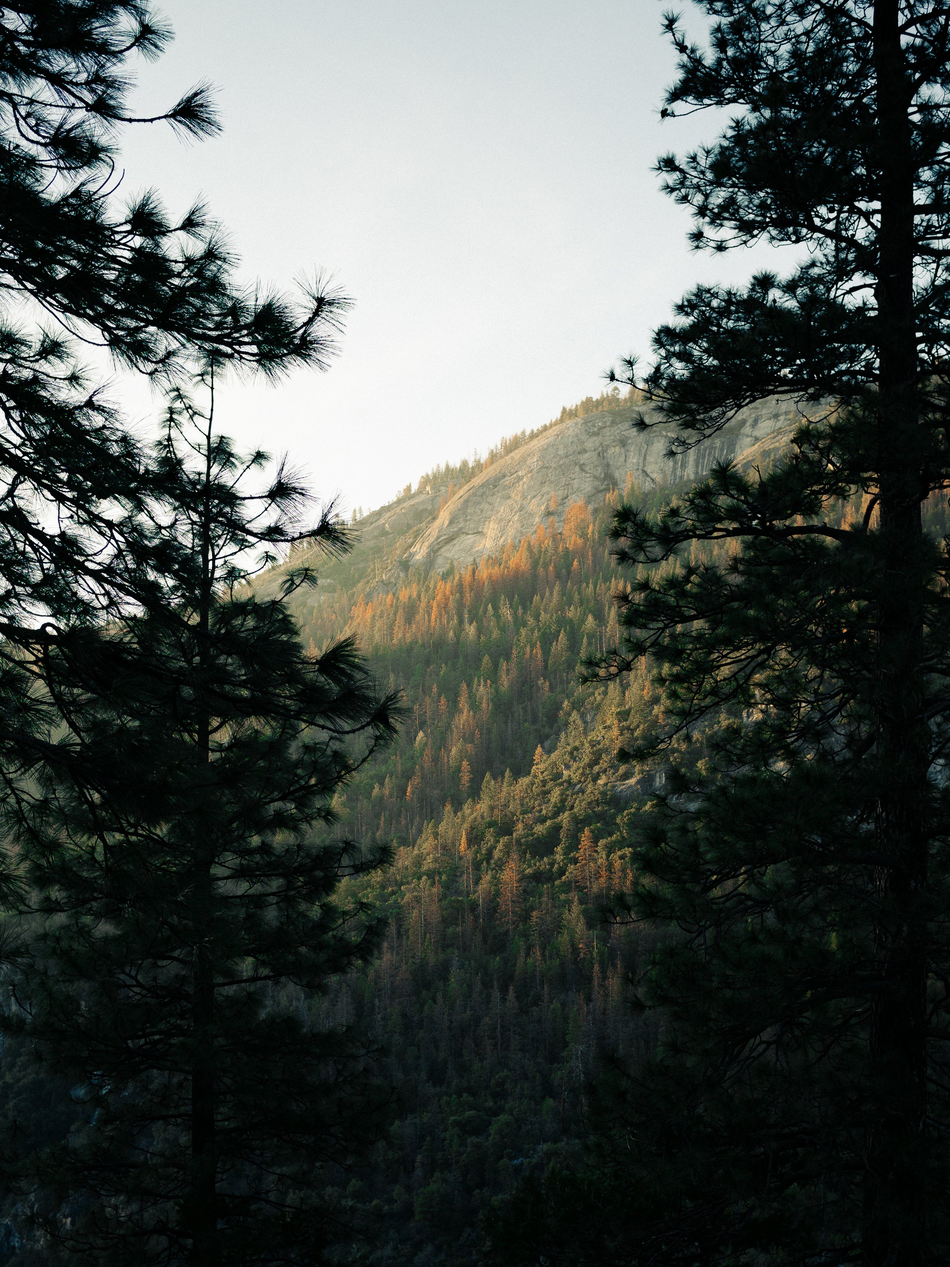 Nature scene symbolizing eco-awareness
